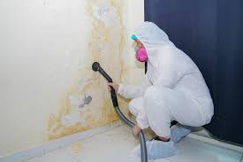 Mold Removal for HVAC Installations in Crestline, CA